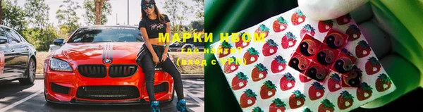 индика Абаза