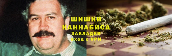 индика Абаза