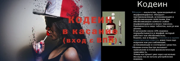 индика Абаза