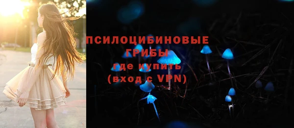 стафф Абдулино