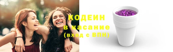 индика Абаза