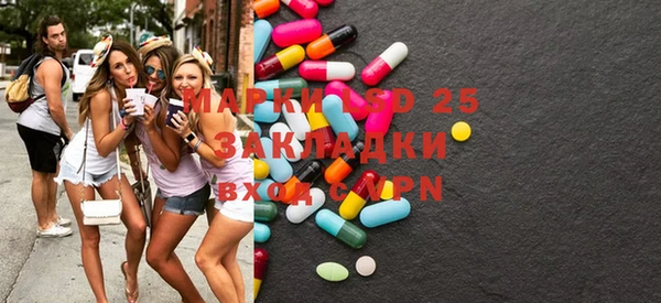 индика Абаза