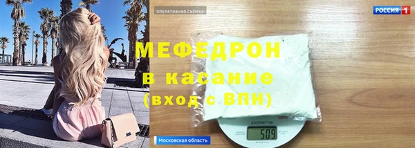 индика Абаза