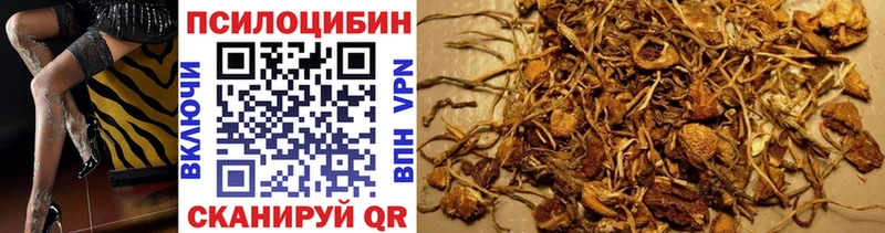 Псилоцибиновые грибы мухоморы Агрыз
